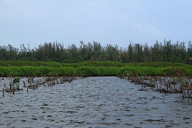 Quảng Ngãi phát triển bền vững các vùng đất ngập nước Quảng Ngãi phát triển bền vững các vùng đất ngập nước