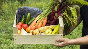 Giá rau củ quả hôm nay 14/12: Đầu tuần, nhiều khuyến mãi hấp dẫn