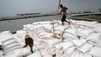 11 tháng, kim ngạch xuất khẩu hàng hóa sang Australia tăng nhẹ