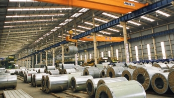 11 tháng, kim ngạch xuất khẩu hàng hóa sang Brazil giảm 17,32%