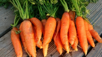 Giá rau củ quả hôm nay 17/12: Nhiều lựa chọn tốt cho người tiêu dùng