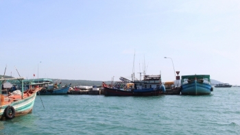 Kiên Giang: Tổng sản lượng thủy sản năm 2020 tăng vượt kế hoạch