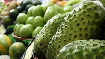 Hà Nội: Chuẩn bị diễn ra Hội chợ nông sản thực phẩm Tết Tân Sửu 2021