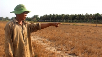 Tiền Giang xây dựng kịch bản, chủ động ứng phó với hạn, mặn