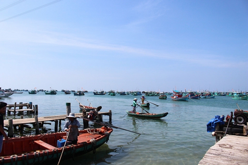 Ủy ban nhân dân tỉnh nghiên cứu, có chỉ đạo tháo gỡ, đưa ra các giải pháp trong thời gian tới để đảm bảo ngành KTHS tỉnh phát triển bền vững Ủy ban nhân dân tỉnh nghiên cứu, có chỉ đạo tháo gỡ, đưa ra các giải pháp trong thời gian tới để đảm bảo ngành KTHS tỉnh phát triển bền vững