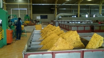 11 tháng, xuất khẩu hàng hóa sang Tây Ban Nha giảm mạnh