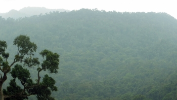 Quảng Nam: Chuyển hạng Khu bảo tồn thiên nhiên Sông Thanh thành Vườn quốc gia