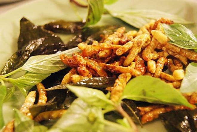 Sâu chít là loại côn trùng nổi tiếng sống trong thân cây chít. 