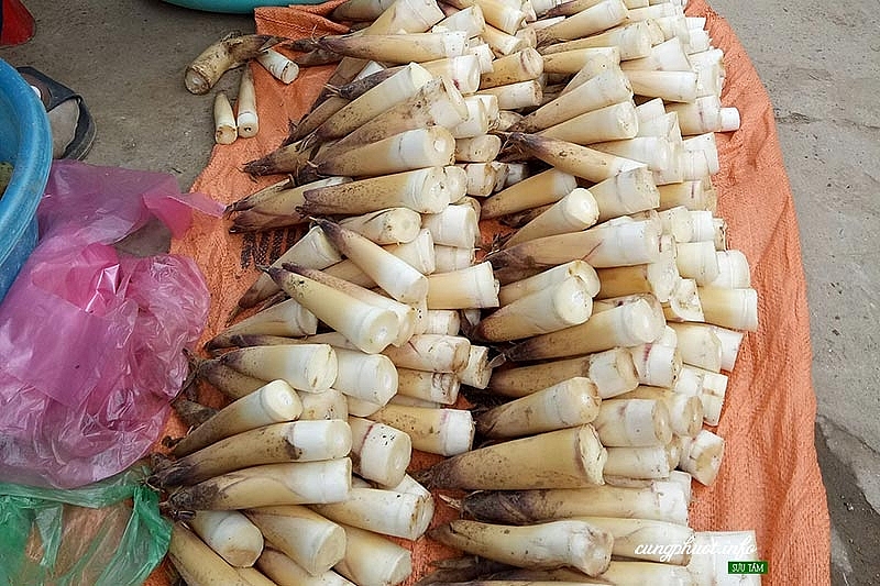 Măng đắng cũng được biết đến là một trong những đặc sản khó quên của vùng đất Điện Biên