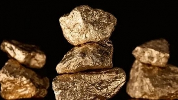 Cập nhật giá vàng hôm nay 23/12: Tiếp tục giảm khi đồng USD tăng