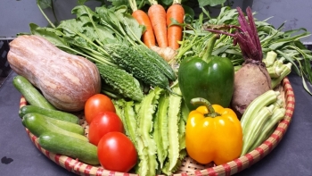 Giá rau củ quả hôm nay 23/11: Có nhiều ưu đãi hấp dẫn