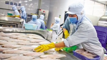 Dự báo xuất khẩu thủy sản sẽ tăng 10% trong năm 2021