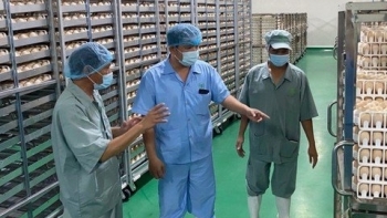 Bình Phước: Khánh thành tổ hợp nhà máy chế biến thịt gà xuất khẩu lớn nhất Đông Nam Á