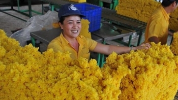 Việt Nam là thị trường cung cấp cao su lớn thứ 2 cho Trung Quốc