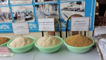 Năm 2020, xuất khẩu nông lâm thủy sản đạt kỷ lục trên 41 tỷ USD