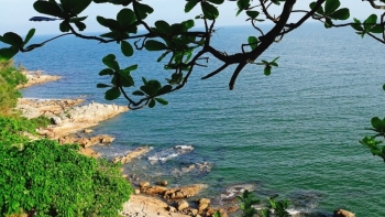 Thanh Hóa: Phấn đấu đón khoảng 11,9 triệu lượt khách du lịch trong năm 2021