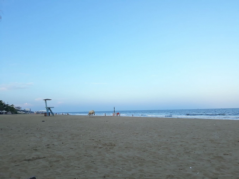 tổng số khách du lịch đến với tỉnh Thanh Hóa năm 2020 chỉ đạt 65,5% kế hoạch tổng số khách du lịch đến với tỉnh Thanh Hóa năm 2020 chỉ đạt 65,5% kế hoạch