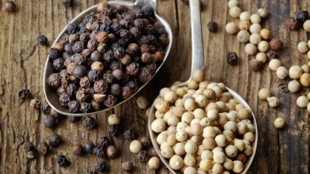 Nửa đầu tháng 12, giá hồ tiêu trong nước giảm nhẹ