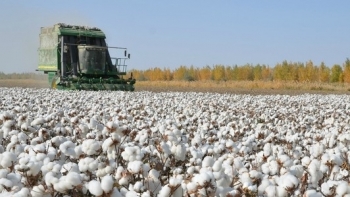 11 tháng, nhập khẩu hàng hóa từ Mỹ đạt trên 12,45 tỷ USD