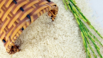 Cập nhật giá gạo hôm nay 28/12: Đầu tuần duy trì ổn định