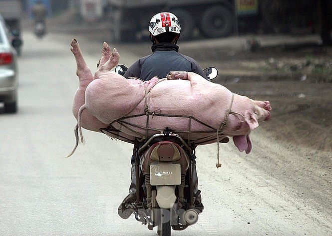 Giá heo hơi hôm nay 28/12: Nhiều địa phương tiếp tục tăng giá, cao nhất cả nước 80.000 đồng/kg Giá heo hơi hôm nay 28/12: Nhiều địa phương tiếp tục tăng giá, cao nhất cả nước 80.000 đồng/kg