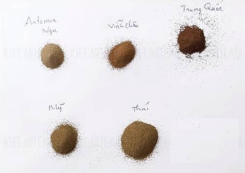 Artemia Vĩnh Châu của tỉnh Sóc Trăng được bảo hộ chỉ dẫn địa lý Artemia Vĩnh Châu của tỉnh Sóc Trăng được bảo hộ chỉ dẫn địa lý