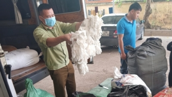 Lạng Sơn: Phát hiện lô găng tay y tế đã qua sử dụng đang trên đường đưa đi tiêu thụ