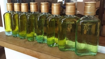 Thừa Thiên-Huế: Sản phẩm tinh dầu tràm được cấp Giấy chứng nhận chỉ dẫn địa lý