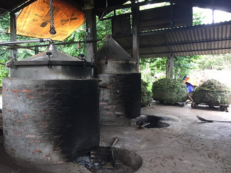 Lò chưng cất tinh dầu tràm của cơ sở sản xuất tinh dầu tràm CSSX-KD Dầu tràm Tiến Triều Lò chưng cất tinh dầu tràm của cơ sở sản xuất tinh dầu tràm CSSX-KD Dầu tràm Tiến Triều