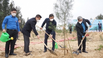 BIDV trồng 6.500 cây phòng hộ ven biển tại Nghệ An