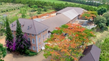 Vi phạm pháp luật về bảo vệ môi trường, Dalatmilk bị xử phạt hơn 300 triệu đồng