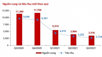 DKRA: Thị trường bất động sản nhà ở TP.HCM và vùng phụ cận quý 3/2021 như thế nào?