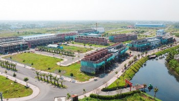 Thị trường đầu tư khởi sắc dịp cuối năm