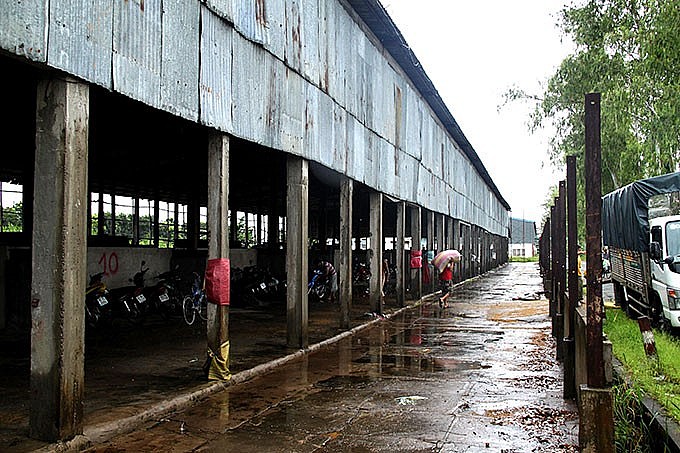 Nông trường Sông Hậu. Ảnh: Tuổi trẻ Nông trường Sông Hậu. Ảnh: Tuổi trẻ