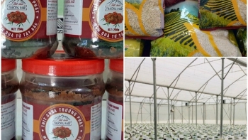 Lào Cai thu hồi chứng nhận 03 sản phẩm OCOP