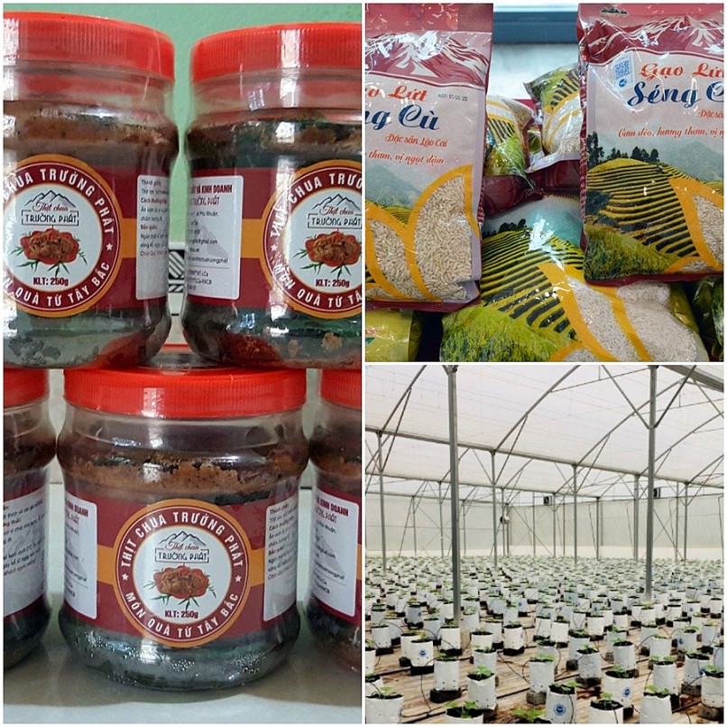 Lào Cai thu hồi chứng nhận 03 sản phẩm OCOP Lào Cai thu hồi chứng nhận 03 sản phẩm OCOP