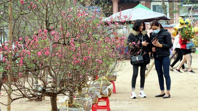 Hà Nội tổ chức 78 chợ hoa xuân phục vụ Tết Nhâm Dần 2022