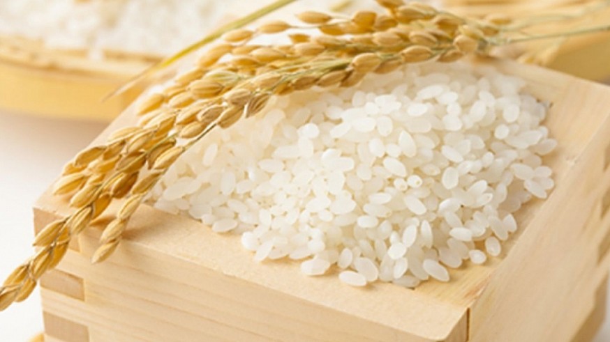 Cập nhật giá lúa gạo hôm nay 18/01/2022: Giá lúa OM 5451 tăng