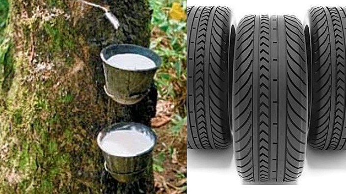 Cập nhật giá cao su hôm nay 18/01/2022:  Đồng loạt tăng tại các sàn châu Á