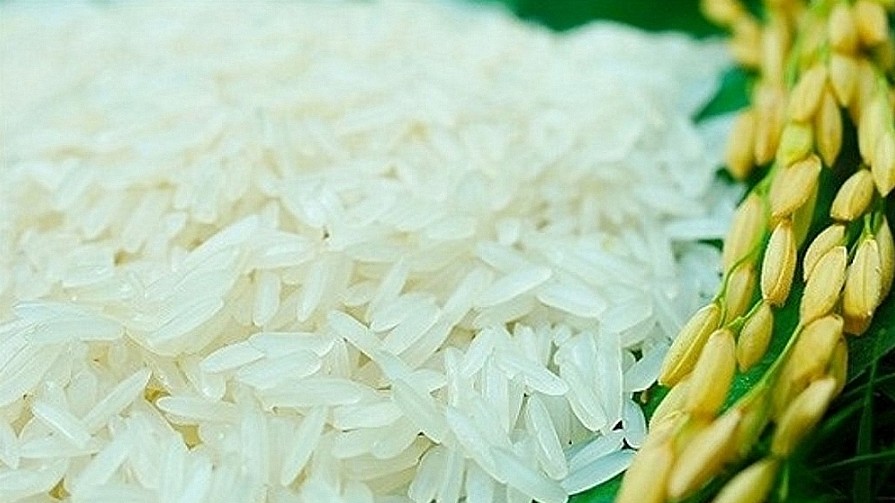 Cập nhật giá lúa gạo hôm nay 19/01/2022: Giá lúa đứng yên, giá gạo xu hướng giảm