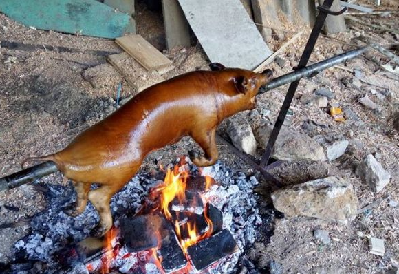 Tham quan thác Đầu Đẳng - Bản nhạc hùng vĩ giữa đại ngàn núi non hùng vĩ Tham quan thác Đầu Đẳng - Bản nhạc hùng vĩ giữa đại ngàn núi non hùng vĩ