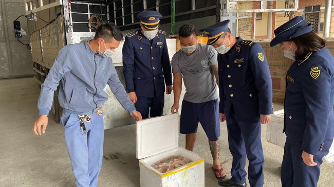 Phú Thọ: Tiêu hủy trên 200 kg nội tạng động vật không rõ nguồn gốc xuất xứ