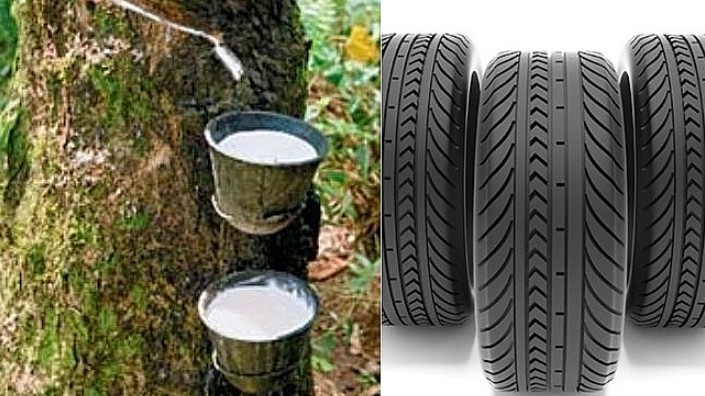 Cập nhật giá cao su hôm nay 20/01/2022: Quay đầu giảm mạnh tại châu Á