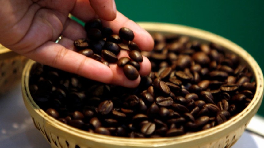 Cập nhật giá cà phê hôm nay 21/01/2022: Tiếp đà tăng nhẹ
