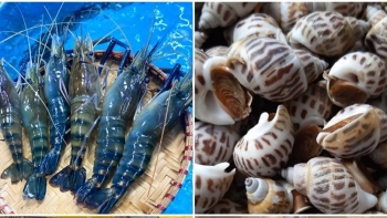 Bảo hộ chỉ dẫn địa lý năm 2021 đạt được nhiều kết quả nổi bật