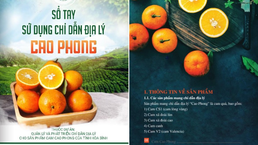 Hoạt động hỗ trợ phát triển tài sản trí tuệ tiếp tục được triển khai sâu rộng