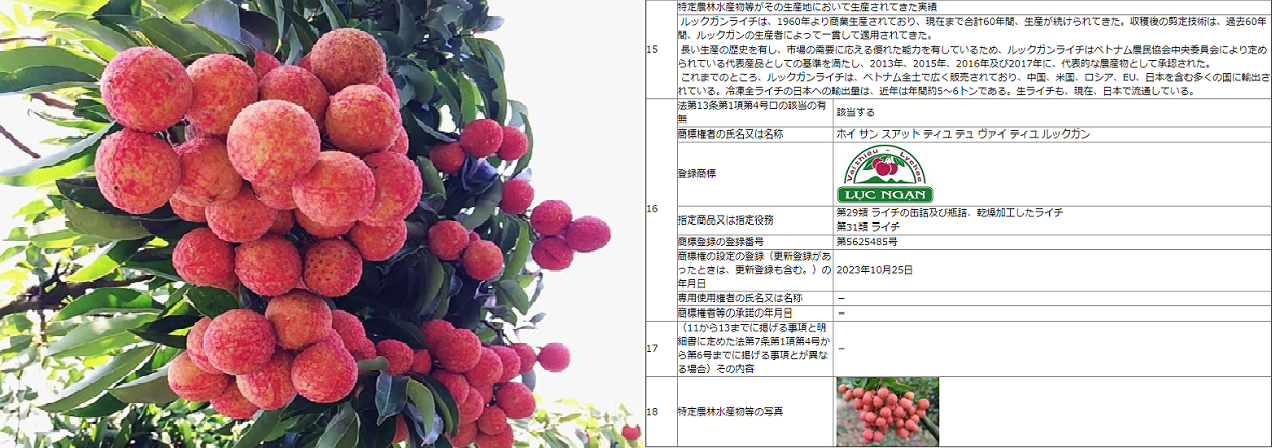 Hoạt động hỗ trợ phát triển tài sản trí tuệ năm 2021