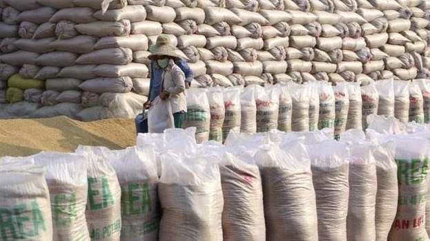 Kiểm soát chống gian lận xuất xứ mặt hàng gạo