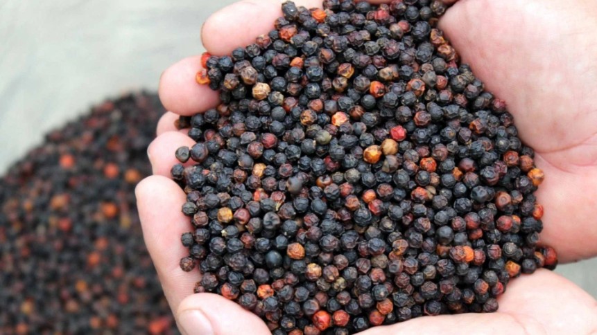 Cập nhật giá hồ tiêu hôm nay 26/01/2022: Tăng nhẹ ở một số địa phương