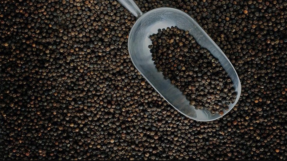 Cập nhật giá hồ tiêu hôm nay 04/02/2022: Giữ ổn định